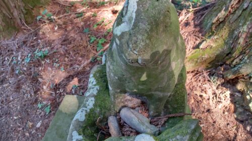 沢井八幡神社　波乗り兎