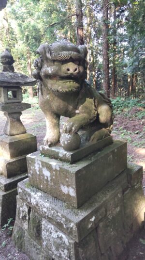 沢井八幡神社　阿形の狛犬